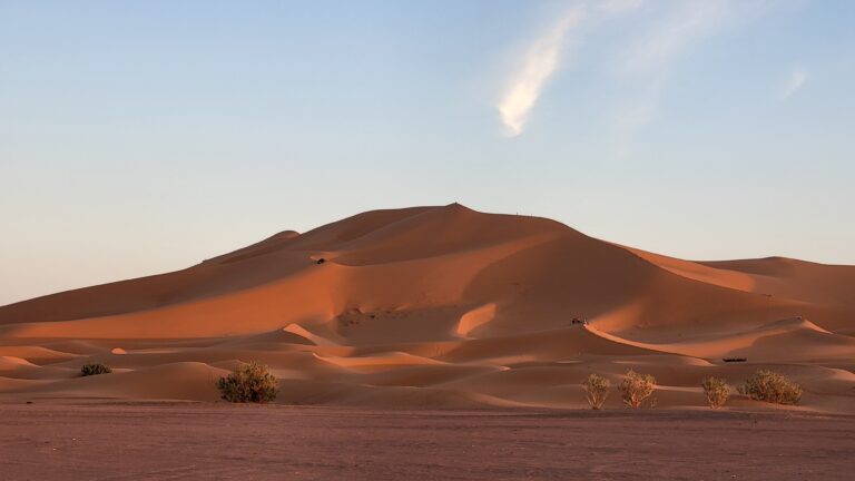 Sanddünen in der Sahara bei Abendlicht